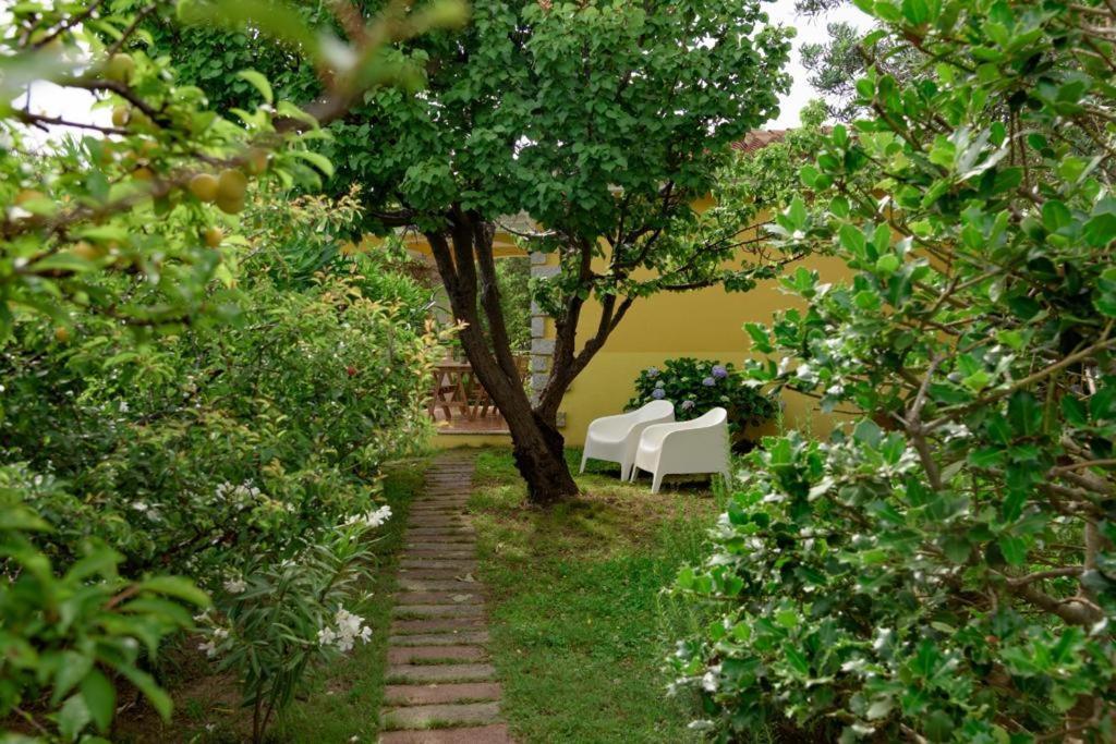 Residence Agrifoglio Monte Petrosu Ngoại thất bức ảnh