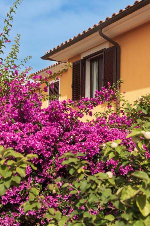 Residence Agrifoglio Monte Petrosu Ngoại thất bức ảnh